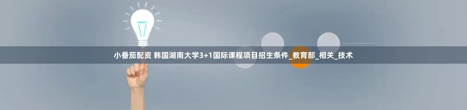 小番茄配资 韩国湖南大学3+1国际课程项目招生条件_教育部_相关_技术