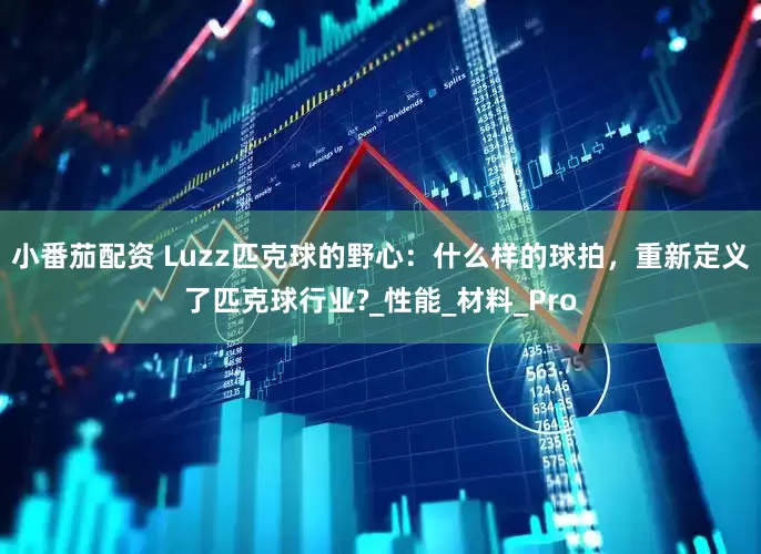 小番茄配资 Luzz匹克球的野心：什么样的球拍，重新定义了匹克球行业?_性能_材料_Pro