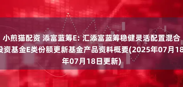 小煎猫配资 添富蓝筹E: 汇添富蓝筹稳健灵活配置混合型证券投资基金E类份额更新基金产品资料概要(2025年07月18日更新)