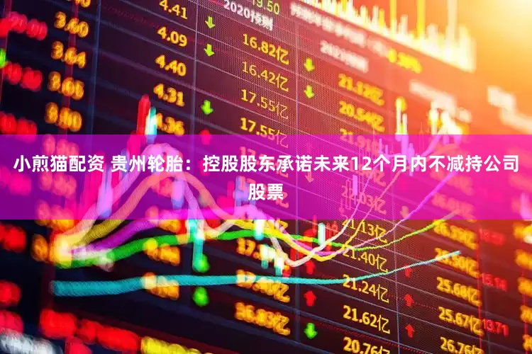 小煎猫配资 贵州轮胎：控股股东承诺未来12个月内不减持公司股票