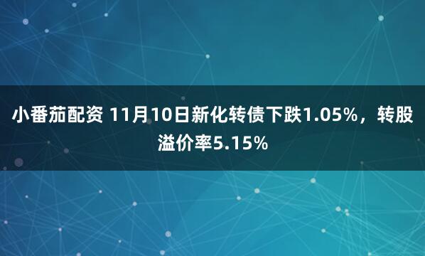 小番茄配资 11月10日新化转债下跌1.05%，转股溢价率5.15%