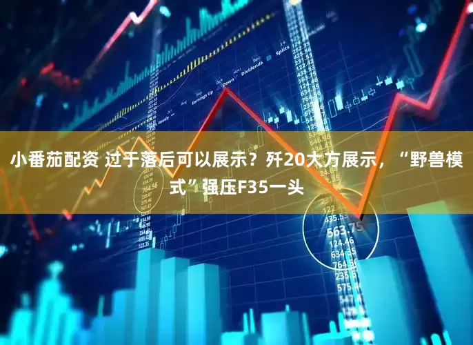 小番茄配资 过于落后可以展示？歼20大方展示，“野兽模式”强压F35一头