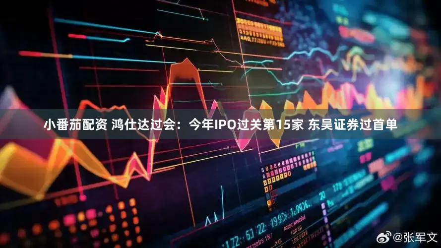 小番茄配资 鸿仕达过会：今年IPO过关第15家 东吴证券过首单
